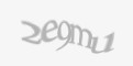 Защитный код